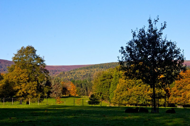 View up to Coed y prior