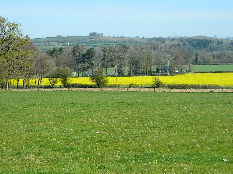 agricultural lettings